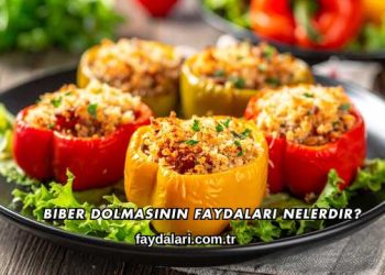 Biber Dolmasının Faydaları Nelerdir?