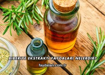 Biberiye Ekstraktı Faydaları Nelerdir?
