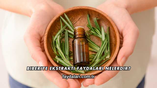Biberiye Ekstraktı Faydaları Nelerdir?