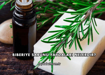 Biberiye Sabunu Faydaları Nelerdir?
