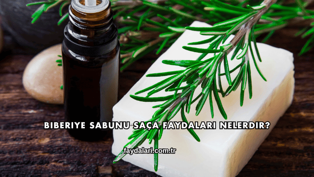 Biberiye Sabunu Saça Faydaları Nelerdir?