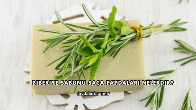 Biberiye Sabunu Saça Faydaları Nelerdir?