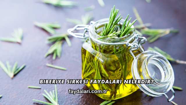 Biberiye Sirkesi Faydaları Nelerdir?