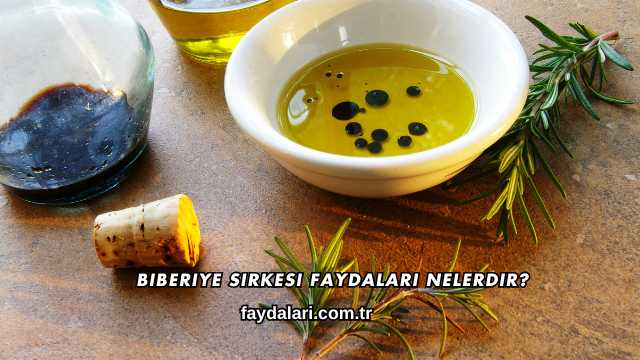 Biberiye Sirkesi Faydaları Nelerdir?