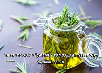 Biberiye Suyu İçmenin Faydaları Nelerdir?