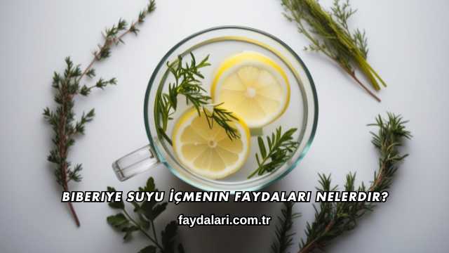 Biberiye Suyu İçmenin Faydaları Nelerdir?