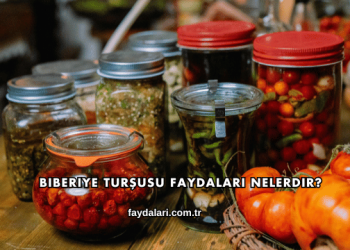 Biberiye Turşusu Faydaları Nelerdir?