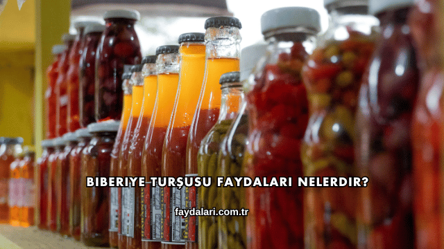Biberiye Turşusu Faydaları Nelerdir?