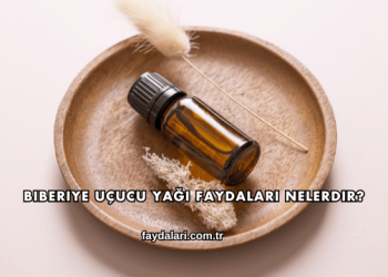 Biberiye Uçucu Yağı Faydaları Nelerdir?