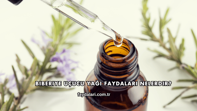 Biberiye Uçucu Yağı Faydaları Nelerdir?