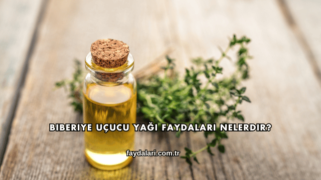 Biberiye Uçucu Yağı Faydaları Nelerdir?