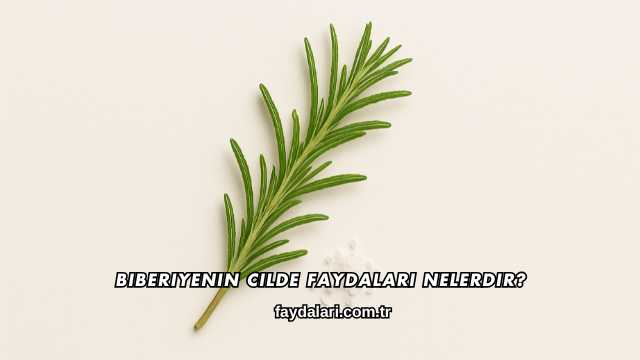 Biberiyenin Cilde Faydaları Nelerdir?