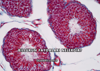 Billurun Faydaları Nelerdir?