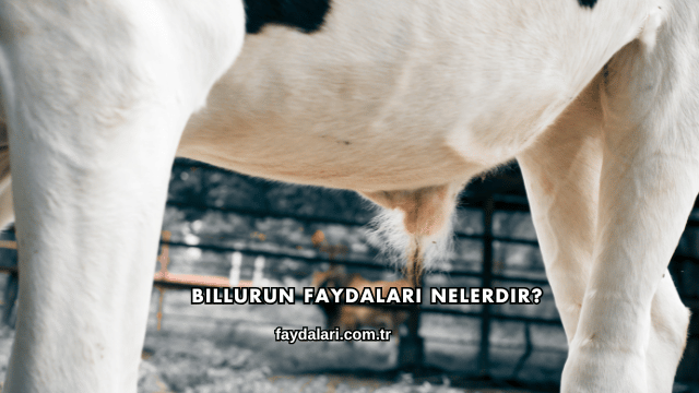 Billurun Faydaları Nelerdir?