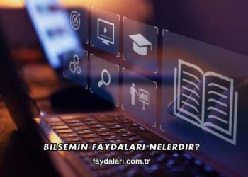 Bilsemin Faydaları Nelerdir?