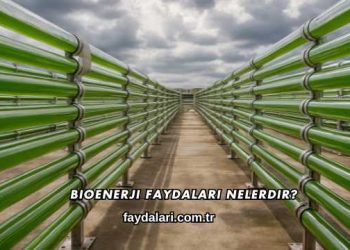 Bioenerji Faydaları Nelerdir?