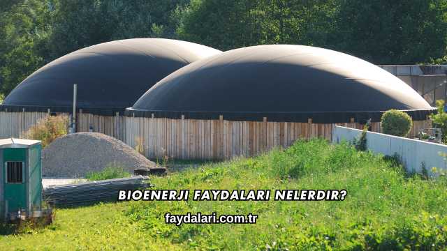 Bioenerji Faydaları Nelerdir?
