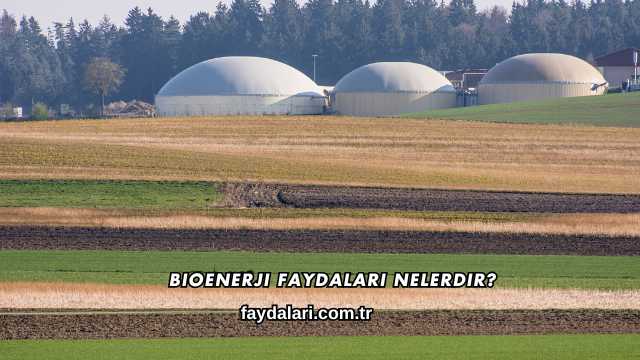 Bioenerji Faydaları Nelerdir?