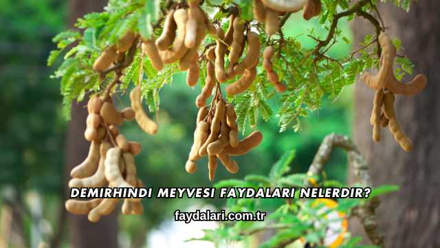 Demirhindi Meyvesi Faydaları Nelerdir?