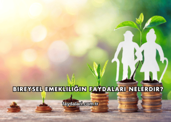 Bireysel Emekliliğin Faydaları Nelerdir?
