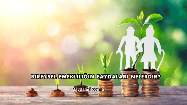 Bireysel Emekliliğin Faydaları Nelerdir?