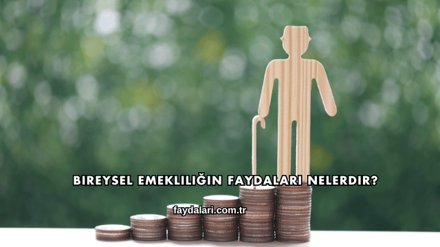 Bireysel Emekliliğin Faydaları Nelerdir?