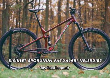 Bisiklet Sporunun Faydaları Nelerdir?