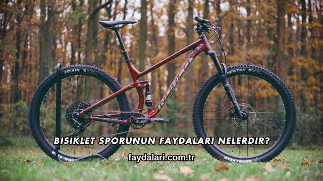Bisiklet Sporunun Faydaları Nelerdir?