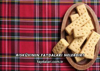 Bisküvinin Faydaları Nelerdir?