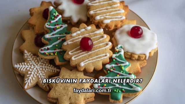 Bisküvinin Faydaları Nelerdir?