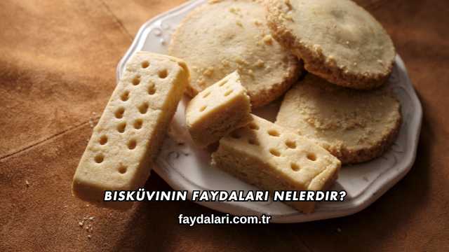 Bisküvinin Faydaları Nelerdir?