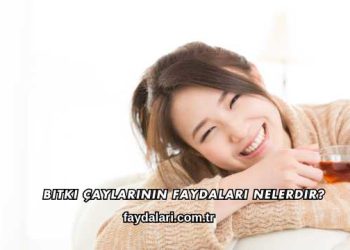 Bitki Çaylarının Faydaları Nelerdir?