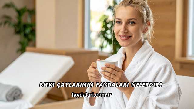 Bitki Çaylarının Faydaları Nelerdir?