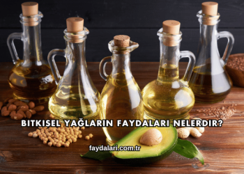 Bitkisel Yağların Faydaları Nelerdir?
