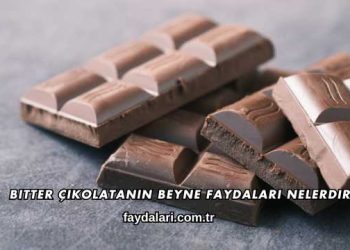 Bitter Çikolatanın Beyne Faydaları Nelerdir?