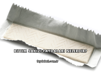 Bıttım Sakızı Faydaları Nelerdir?