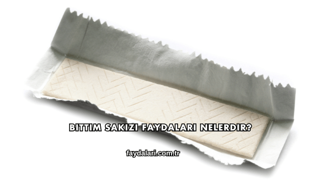 Bıttım Sakızı Faydaları Nelerdir?