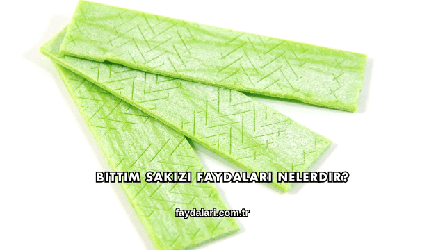 Bıttım Sakızı Faydaları Nelerdir?