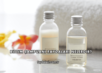 Bıttım Şampuanı Faydaları Nelerdir?