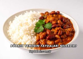 Böbrek Yemenin Faydaları Nelerdir?