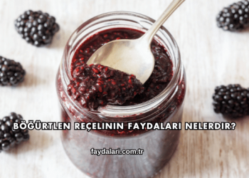 Böğürtlen Reçelinin Faydaları Nelerdir?