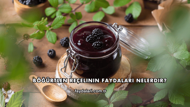 Böğürtlen Reçelinin Faydaları Nelerdir?