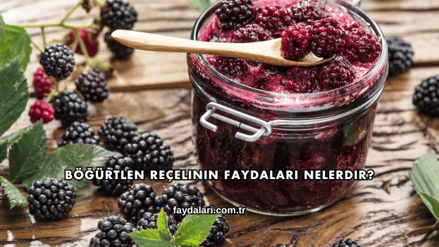 Böğürtlen Reçelinin Faydaları Nelerdir?
