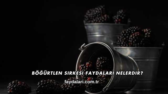 Böğürtlen Sirkesi Faydaları Nelerdir?