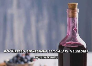 Böğürtlen Sirkesinin Faydaları Nelerdir?