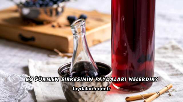 Böğürtlen Sirkesinin Faydaları Nelerdir?
