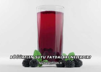 Böğürtlen Suyu Faydaları Nelerdir?