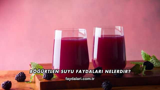 Böğürtlen Suyu Faydaları Nelerdir?