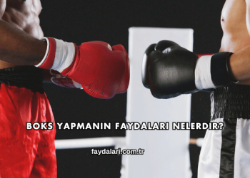 Boks Yapmanın Faydaları Nelerdir?