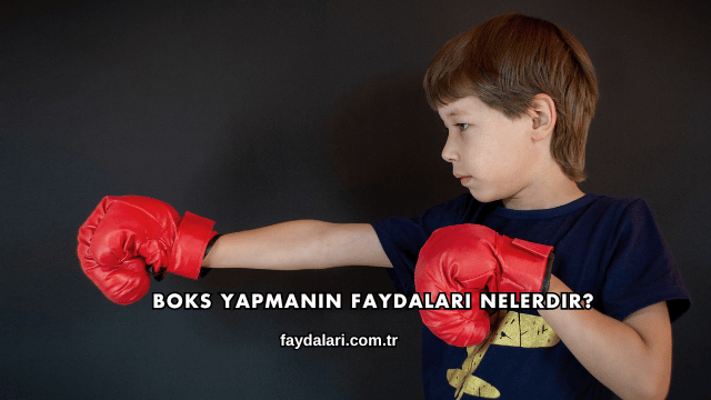 Boks Yapmanın Faydaları Nelerdir?